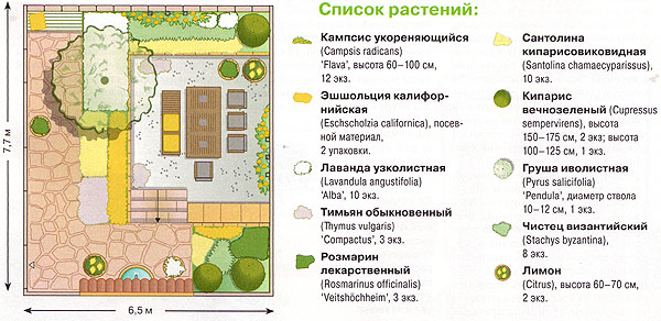 Схема посадок растений во дворе дома 1